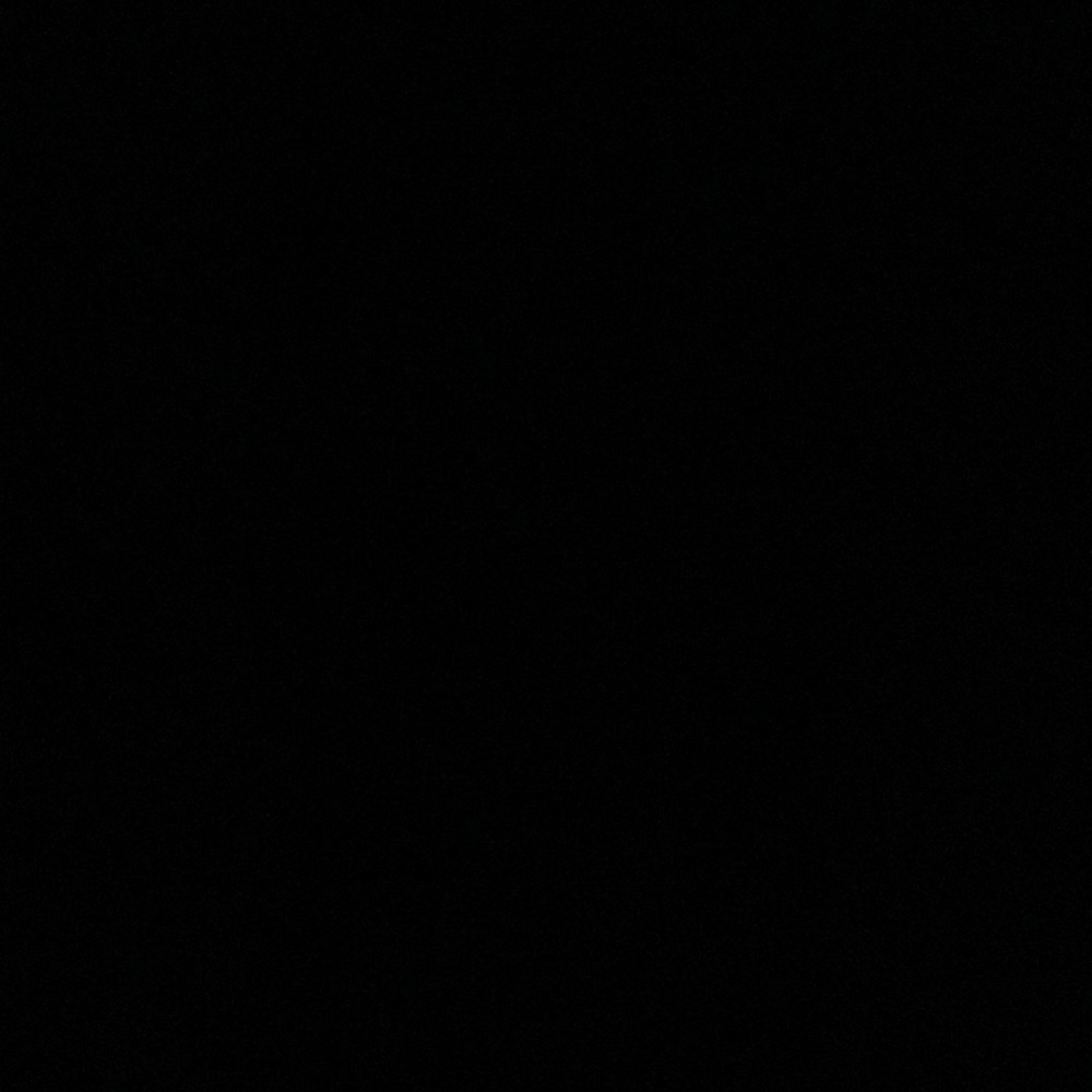IGNORE